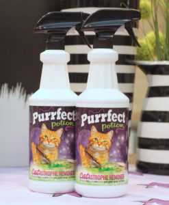 Best cat cheap stain remover